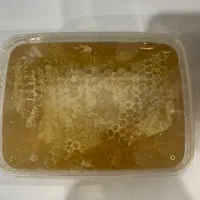 عسل ۱۰۰در۱۰۰ طبیعی بدون افزودنی و بدون حرارت دادن|خوردنی و آشامیدنی|شاهین‌شهر, فردوسی|دیوار