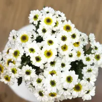 دو مربی توانمند جهت کار در مهدکودک
