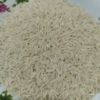 برنج فجر سوزنی