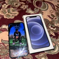 iPhone 12 normal|موبایل|تهران, مشیریه|دیوار
