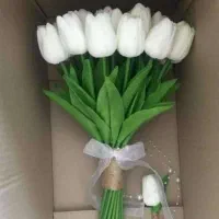 لاله لمسی  خارجی