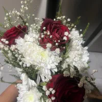 دسته گل فقط ۵۰۰|گل و گیاه طبیعی|کرمان, |دیوار