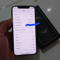 آیفون 12pro  iPhone|موبایل|شیراز, کاراندیش|دیوار