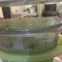 بخارپز مارک tefal|سایر لوازم برقی|اصفهان, تخت فولاد|دیوار