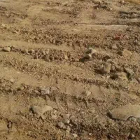 زمین آزادگان