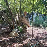 زمین دارم ۱۳۳ متر مرکز شهر جهت مشارکت