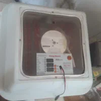 دستگاه جوجه کشی ۸۴ تایی|لوازم جانبی حیوانات|میبد, |دیوار