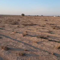 زمین کشاورزی روستای میاندشت