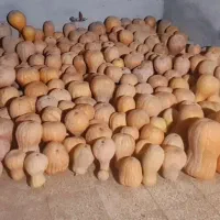 کدو حلوایی زرد شیرین