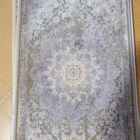 پادری در طرح و رنگ متفاوت تکی به قیمت عمده|پادری|بندرعباس, |دیوار
