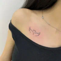 فیبروز،خط چشم،تتو بدن ۶۰۰|خدمات آرایشگری و زیبایی|قم, بنیاد|دیوار