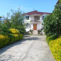 سوعیت جنگلی