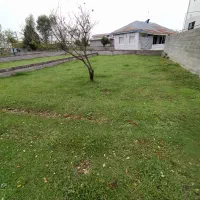 زمین مسکونی شهری / سند دار|فروش زمین و ملک کلنگی|رضوانشهر, |دیوار