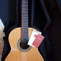 guitar altamira n100+