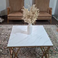 مبلمان ۱۰نفره چستر