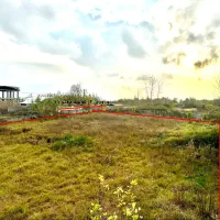 زمین دلباز ۲۵۰۰ متری، فرصت استثنائی سرمایه‌گذاری