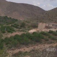 باغ و گل محمدی روستای قزاآن قمصر