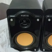 بلندگو pascal|قطعات و لوازم جانبی رایانه|قوچان, |دیوار
