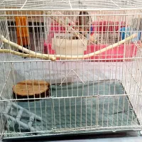 قفس پرنده