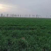 زمین-زراعی2هکتارباحقابه-تهاترباکرج-تهران