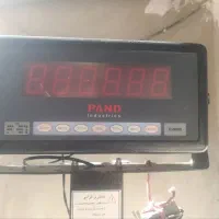 باسکوی پانصد کیلوی پند