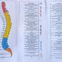 صندلی وتخت ماساژ درمانی دیسک کمر وگردن|خدمات آرایشگری و زیبایی|شیراز, زرهی|دیوار