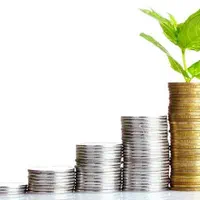 نیازمند سرمایه گذار