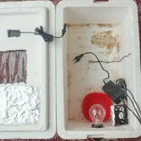 دستگاه جوجه کشی نیمه اتومات