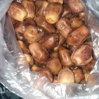 گردو انجیر خرما قصب شیره انگور|خوردنی و آشامیدنی|شیراز, مسلم|دیوار