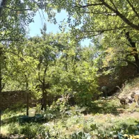 باغ 1000 متری در جاده چالوس