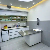 استخدام نیروی خدمات با تجربه در کلینیک دامپزشکی