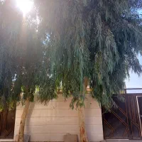 خانه ویلایی