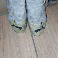 کفش استوک دار برند اصلی|کیف، کفش، کمربند|شیراز, زرهی|دیوار