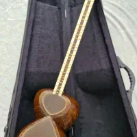 تار رضاخانی|سازهای سنتی|جم, |دیوار