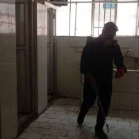 سم پاشی