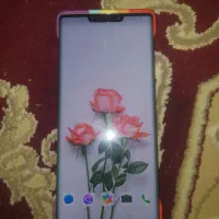 گوشی پرچم دار