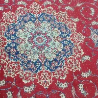 قالی|فرش|اراک, |دیوار