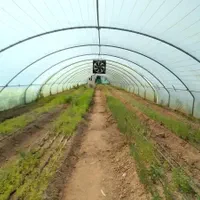 گلخانه در مشهد فروش/معاوضه آپارتمان|فروش دفتر صنعتی، کشاورزی، تجاری|مشهد, كنويست|دیوار