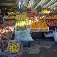 کار در میوه فروشی