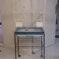 قفس سفید پرنده
