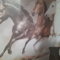 چندتا کره و ی نربز سانن