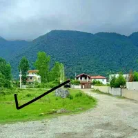 پای-جنگل-زمین-2نبش-اگهی-قیمت-کل-بافت-کامل
