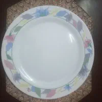 دیس گرد فرانسوی