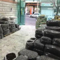 کشمش / عمده /جزیی/ آبگیری