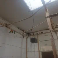 تعداد۱۵جفت کوتوله فروشی