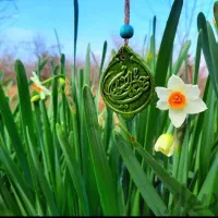 کربلا طرح مهدوی (زمینی6/900/000) هوایی درجه ب