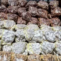 قلوه سنگ تک|عمده‌فروشی|تهران, جوانمردان (اندیشه)|دیوار