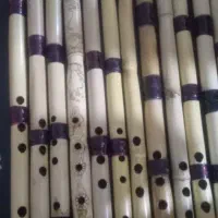 ساز نی دندانی ولبی حرفه ای۲۰۰|سازهای بادی|دزفول, |دیوار