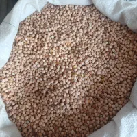 نخود امسالی ریز و یکدست تمیز