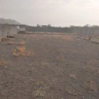 فروش دامداری به متراژ ۱۰۰۰ متر|فروش زمین و ملک کلنگی|یامچی, |دیوار